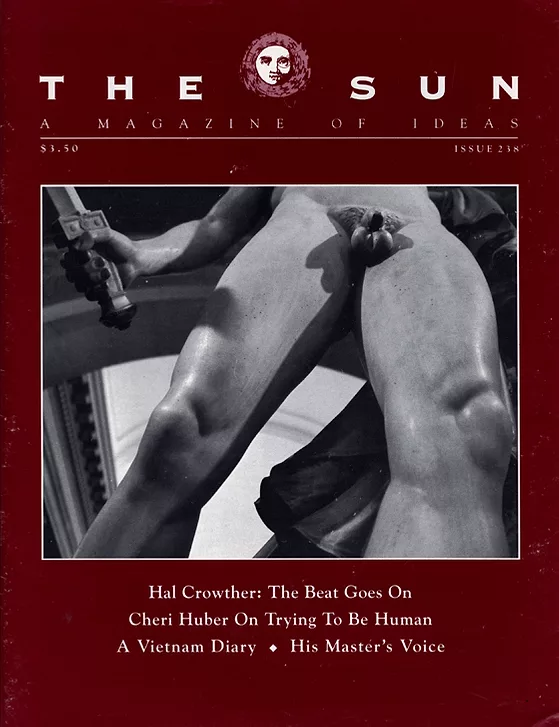 issue 238 cover