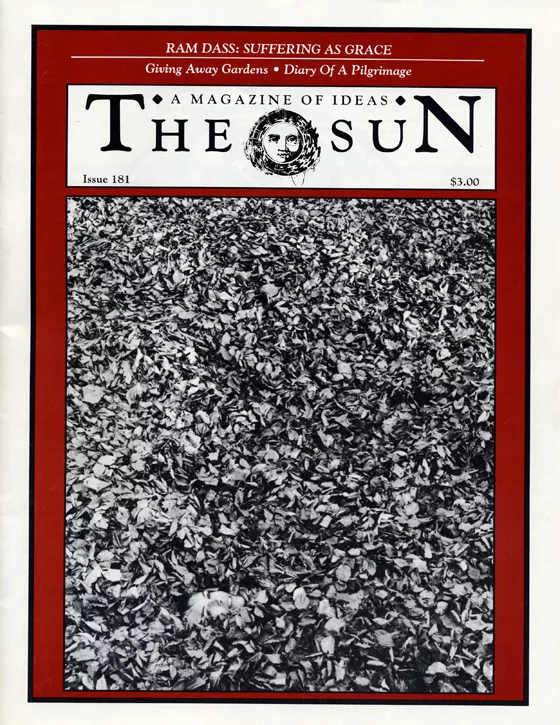 issue 181 cover