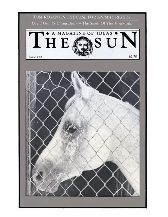 issue 122 cover