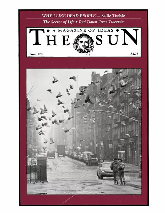 issue 120 cover