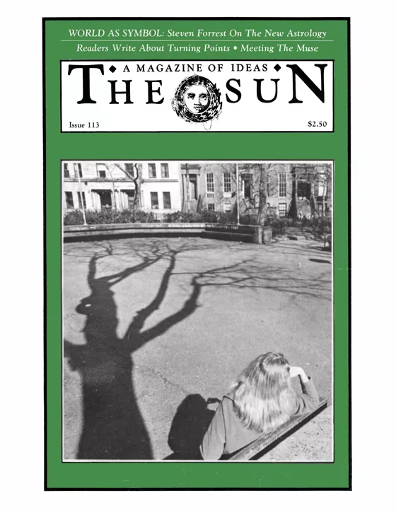issue 113 cover