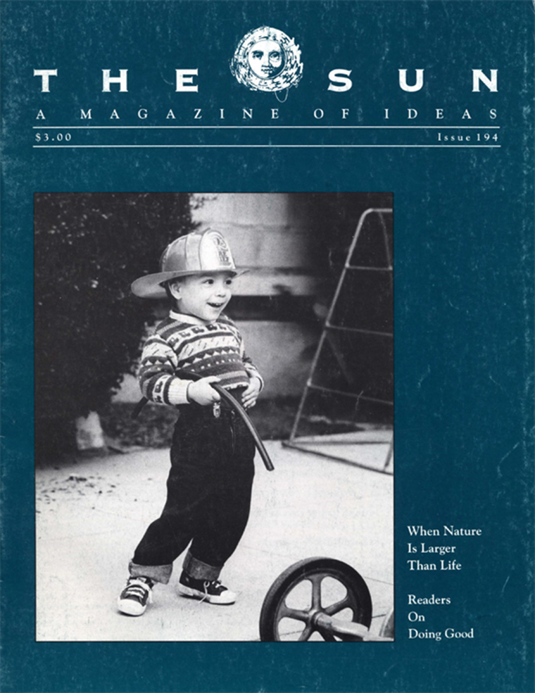 277 - Sun Cover - 194