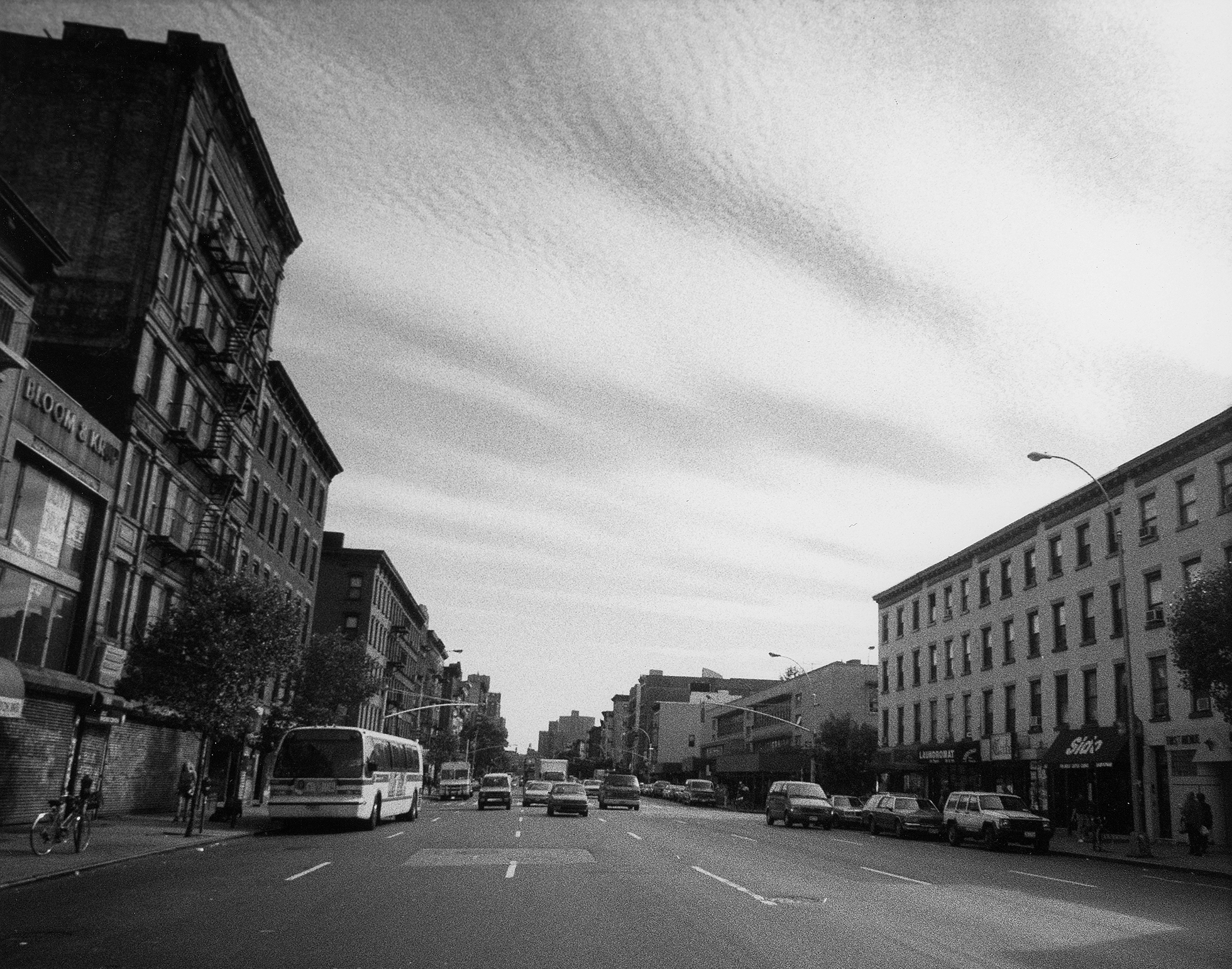 373 - Goldfarb - Schapiro