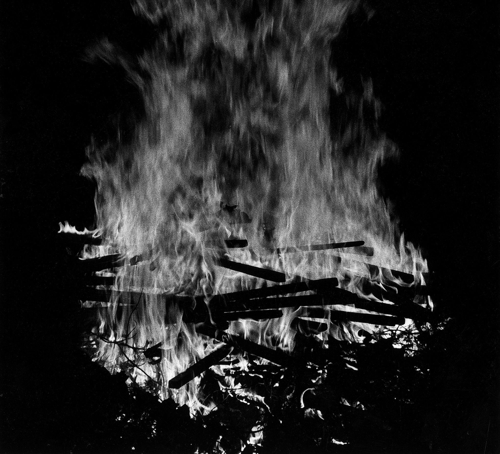 361 - Gustavo - Playing With Fire