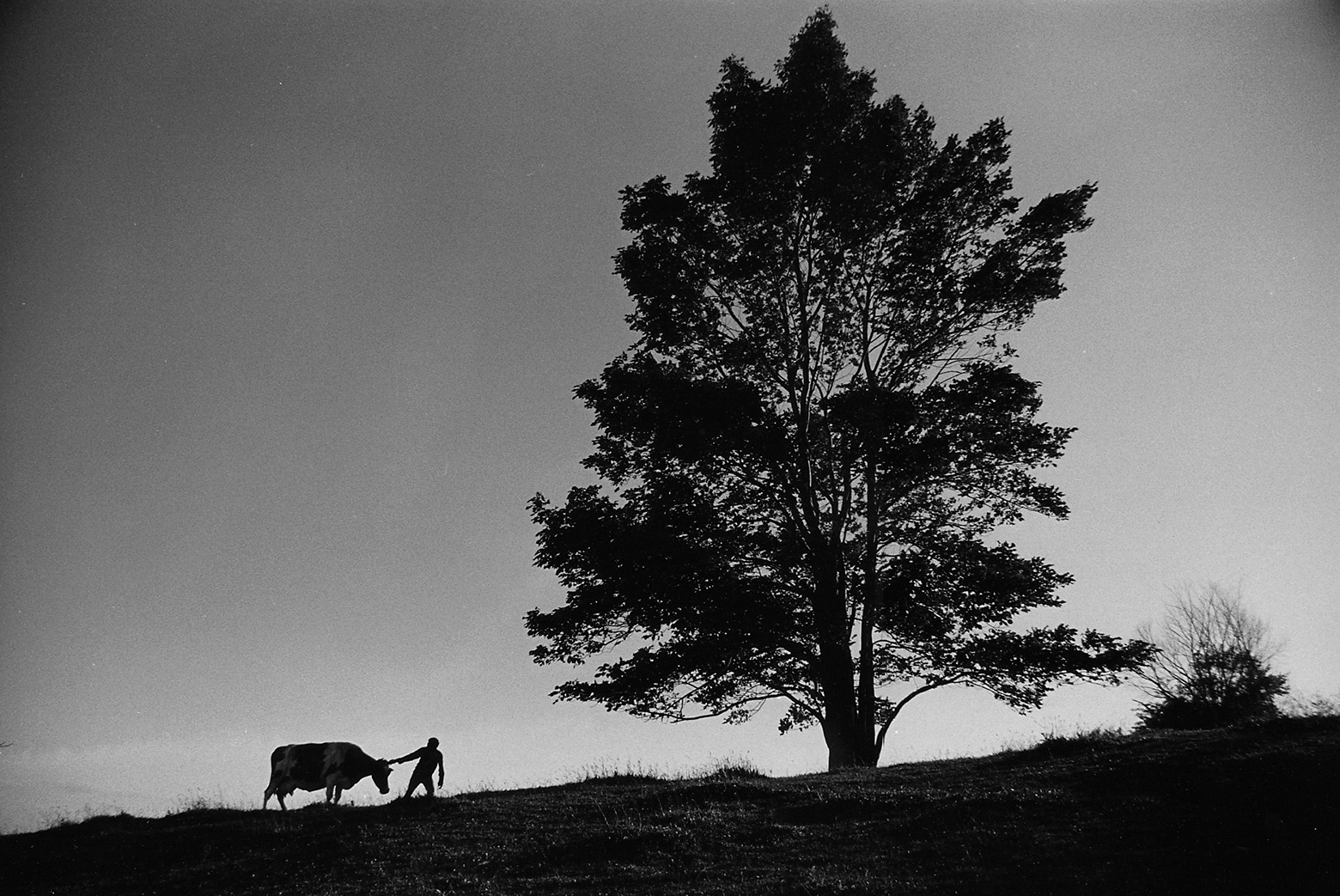 313 - Walts - The LaBrie Farm - 7