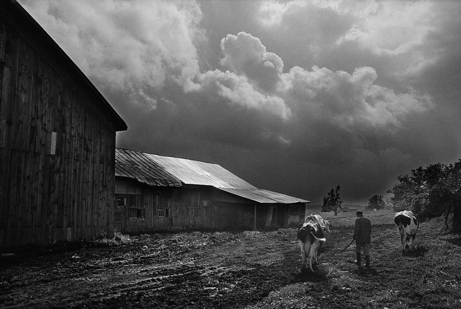 313 - Walts - The LaBrie Farm - 9