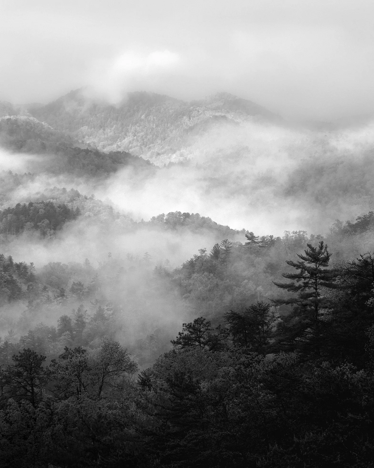 Nicholas Bell